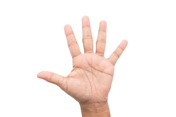 main de l'homme montrant les cinq doigts isolés sur un fond blanc
 - Photo, image