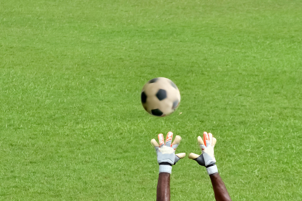 Fútbol tratar de atrapar la pelota
 - Foto, Imagen