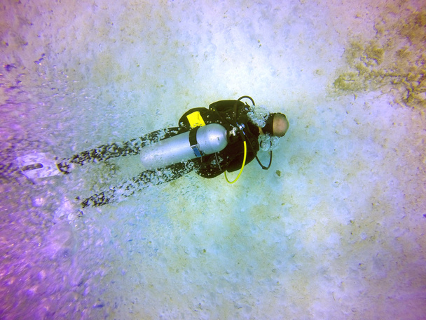 Buceadores bajo el agua
 - Foto, imagen