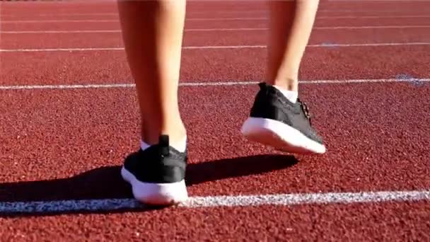Tracking camera of the legs of a track runner athlete woman running in a line - Záběry, video