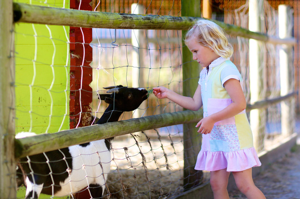 Funny little girl feeding farm animals - Fotó, kép