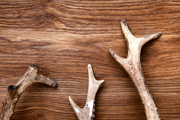 Deer antlers on wooden background - Photo, Image