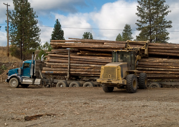 Camion d'exploitation forestière en cours de déchargement
 - Photo, image