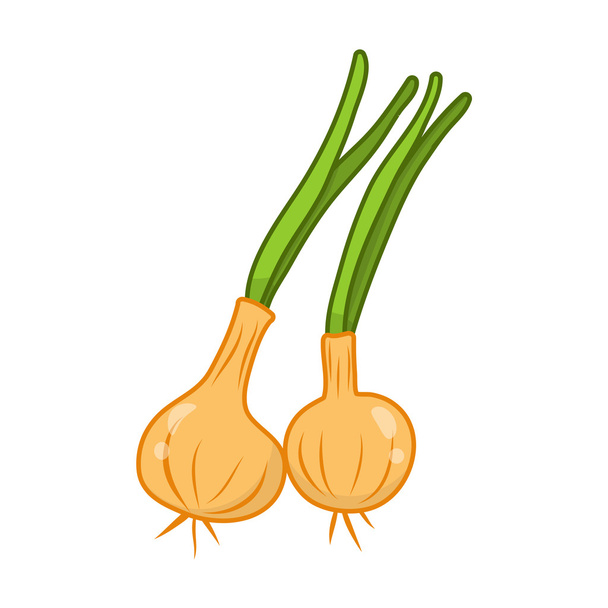 onions isolated illustration - Vektor, obrázek