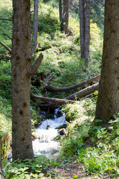 creek in the mountains - Fotoğraf, Görsel