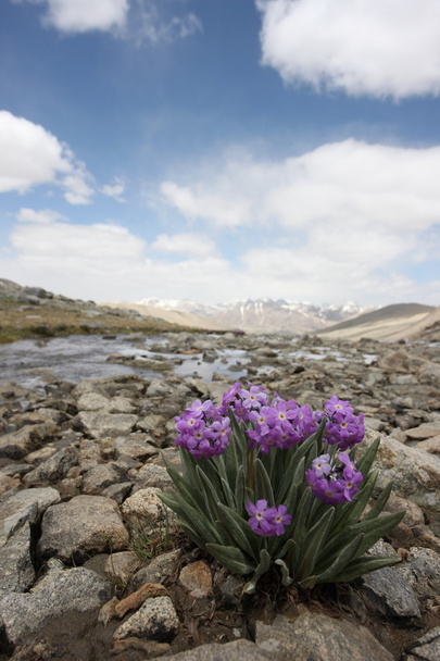 Pamir Region Russische Föderation Zentralasien Berglandschaften - Foto, Bild