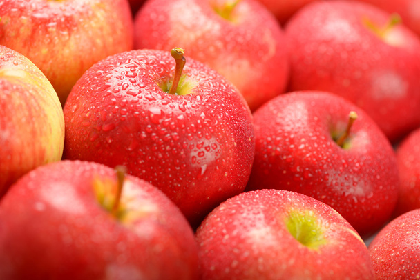 Червоні стиглі яблука з водяними краплями фону
 - Фото, зображення