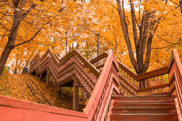 Wooden stairs with leaves in the autumn forest - Fotoğraf, Görsel