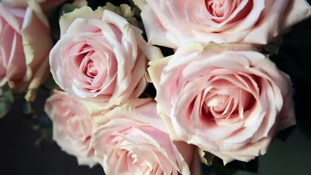 rózsaszín rózsa csokor - Felvétel, videó