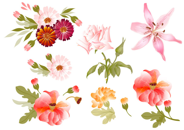 Color illustration of flowers in vector paintings - Vektör, Görsel