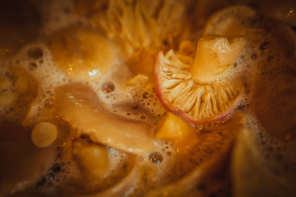 mushrooms cooked in a saucepan close-up - 写真・画像