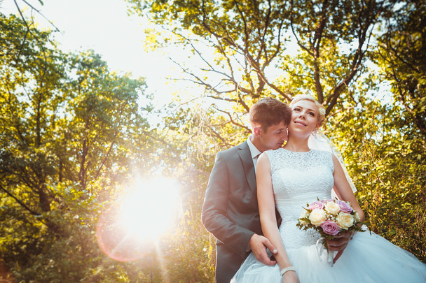 bride and groom on the forest background - Zdjęcie, obraz