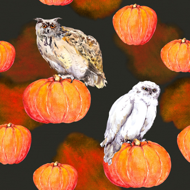 Owl on pumpkin. Halloween watercolor repeating background - Valokuva, kuva