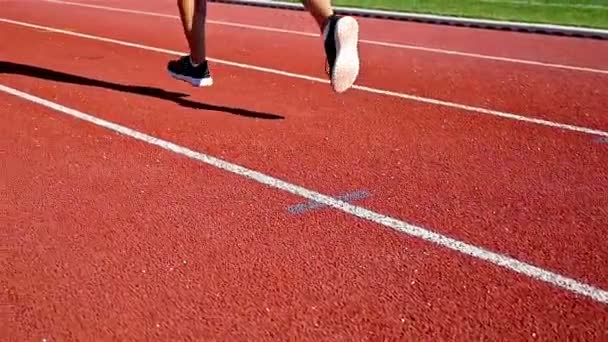 Tracking camera of the shoes of a track runner athlete woman running in a line - Footage, Video