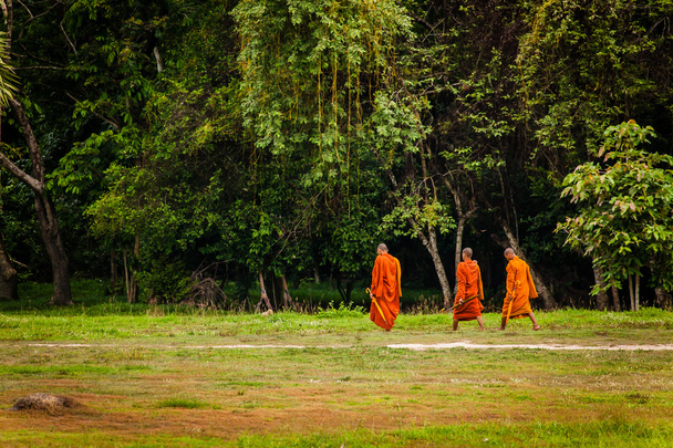 Tři mniši chodí na trávník (cesta) s deštníky - Fotografie, Obrázek