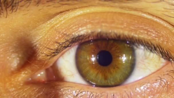 Lidské oko bliká - Záběry, video
