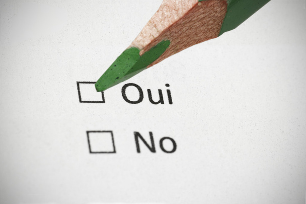 Γαλλικά ερωτηματολόγιο, ναι ή όχι - Φωτογραφία, εικόνα