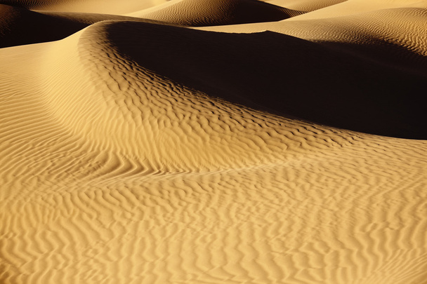 Піщані дюни Сахари. - Фото, зображення