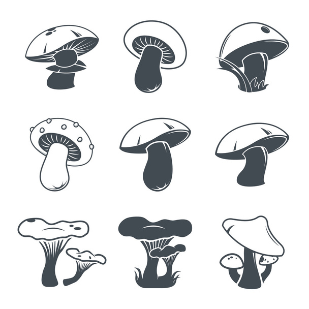 Mushroom concept. Collection of mushrooms. Vector illustration. Set. - Vektor, obrázek