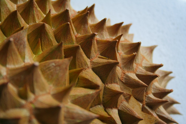 Durian schil - Foto, afbeelding