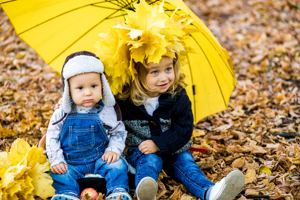 jongetje met een meisje onder een paraplu van de herfst regen - Foto, afbeelding