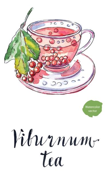 Cup of viburnum tea - Vektor, kép