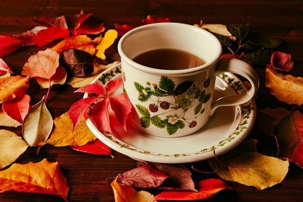 Cup of tea and autumnal foliage - Fotó, kép