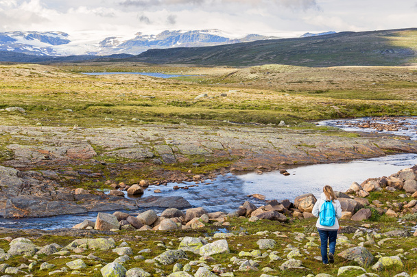 Mulher olhando para a paisagem do Parque Nacional Hardangervidda
 - Foto, Imagem