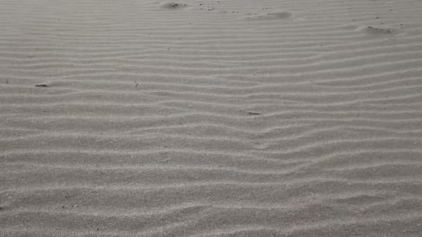 άμμο στην παραλία και ισχυρό άνεμο - Πλάνα, βίντεο