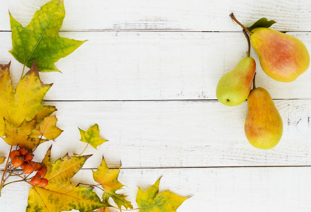 Cores do outono: folhas amarelas, bagas de laranja, peras perfumadas, dispostas em um quadro no meio de um espaço vazio para sua inscrição
.  - Foto, Imagem