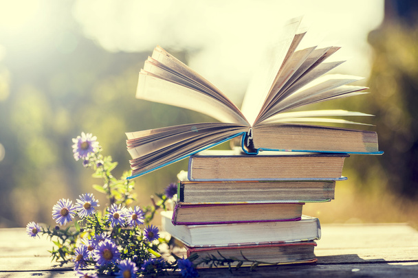 books on natural background. - Photo, Image