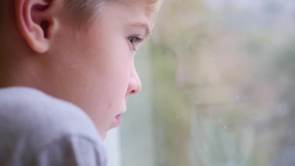 dítě se dívá z okna na detailním sněžení - Záběry, video