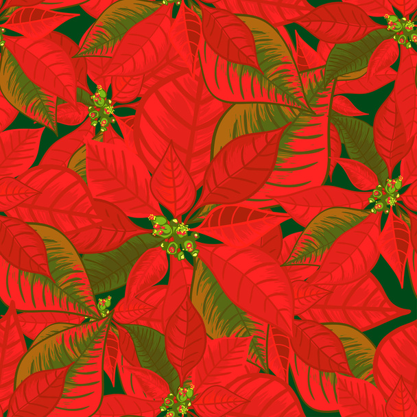 Seamless pattern with poinsettia. Christmas flower bouquet ornament in red color - Vektor, obrázek