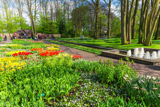 Escenario de Keukenhof Tulips Garden, Lisse, Países Bajos
. - Foto, Imagen
