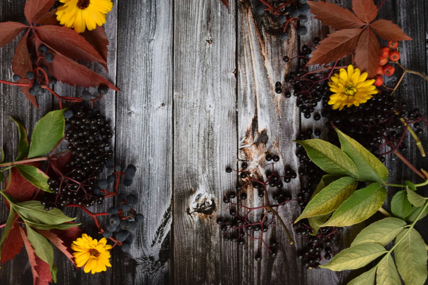 Syksyn sato hedelmiä ja viinirypäleitä ja värillisiä lehtiä ja syksyn värit vanha harmaa vintage puinen tausta
 - Valokuva, kuva