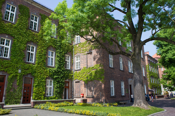 The building is an old austrian hospital on a Wawel hill. - Fotó, kép