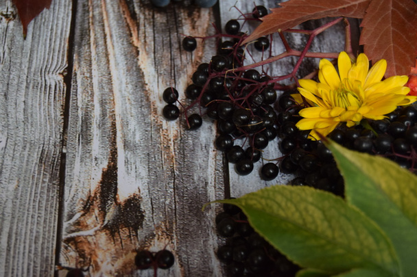 Récolte automnale de fruits et de raisins et de feuilles colorées et de couleurs automnales sur le vieux fond gris vintage en bois
 - Photo, image