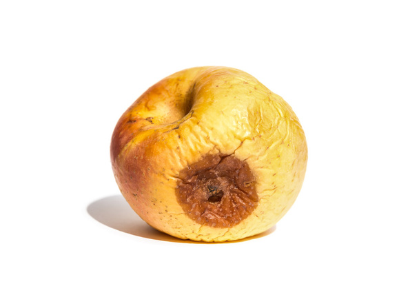 Rotten apple op witte achtergrond - Foto, afbeelding
