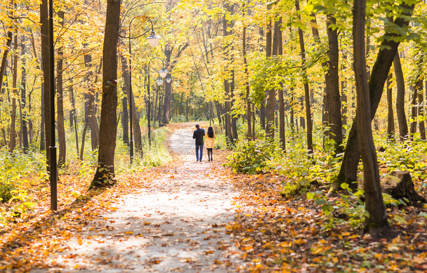 Sonbaharda parkta birlikte yürüyen dost canlısı bir aile. - Fotoğraf, Görsel
