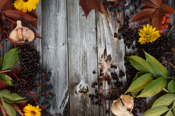 Zbiorów owoców i winogrona i kolorowych liści i kolory jesieni na stare szare tło vintage drewniane - Zdjęcie, obraz