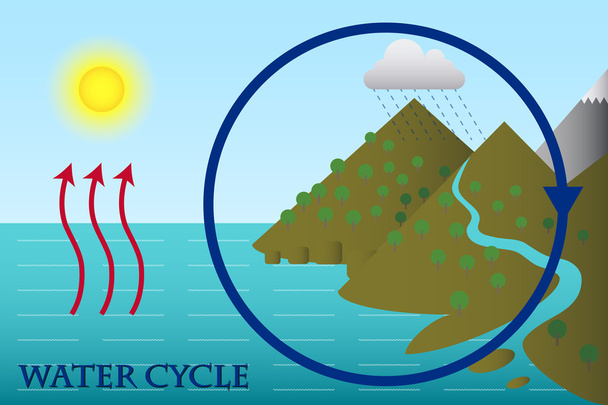 The Water Cycle - Vector, Image