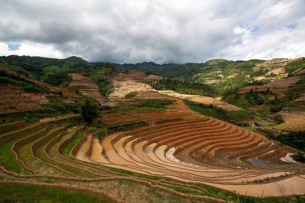 teraszos rizsföldek Vietnamban - Fotó, kép