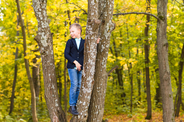 Lächelnder Junge kletterte in Park auf Baum - Foto, Bild