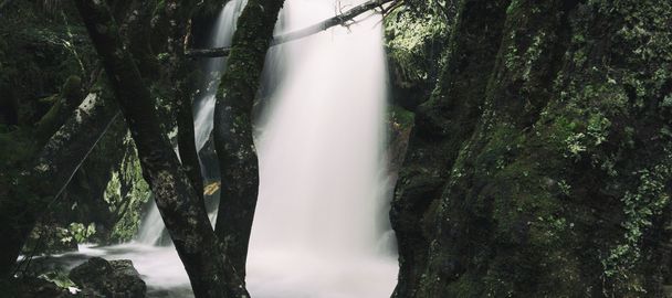 Knyvet Falls in Cradle Mountain - Foto, afbeelding