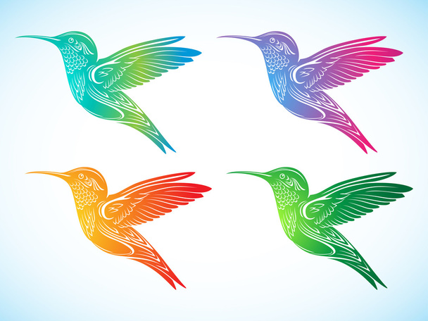 kleurrijke kolibrie - Vector, afbeelding