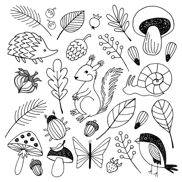 Forest animals vector isolated on white  background. - Vector, Imagen