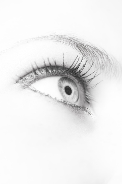 людське око
 - Фото, зображення