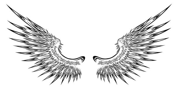 Flügel - Vektor, Bild