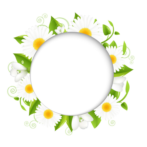 Summer illustration With Camomiles - Vector, Image