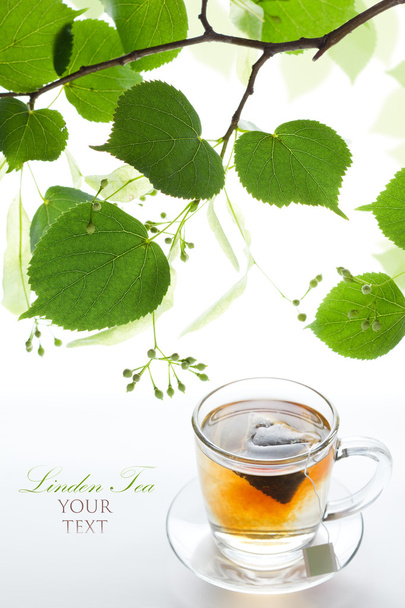 Linden tea bag in a glass cup and twig lime frame - Photo, Image
